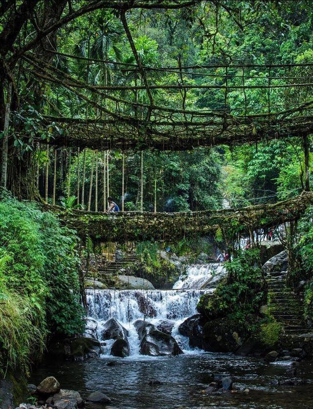 Did You Know? Meghalaya Is Known as the Abode of Clouds