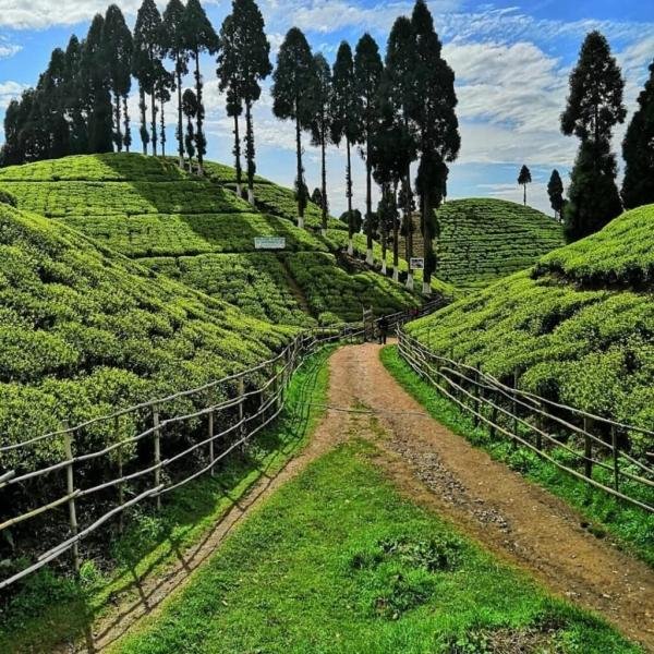 Did You Know? The Amazing Fact about  MIRIK