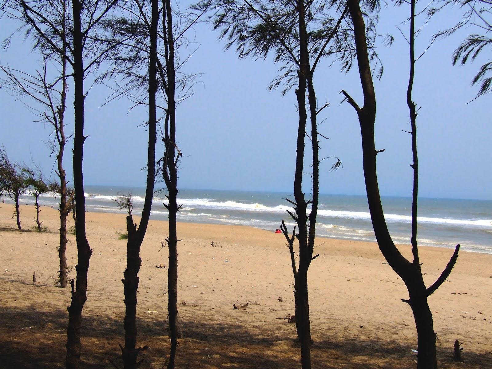 Did You Know? The Amazing Fact about  Chandipur